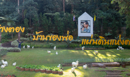 cover แวะ ปางตอง ก่อน ปางอุ๋ง