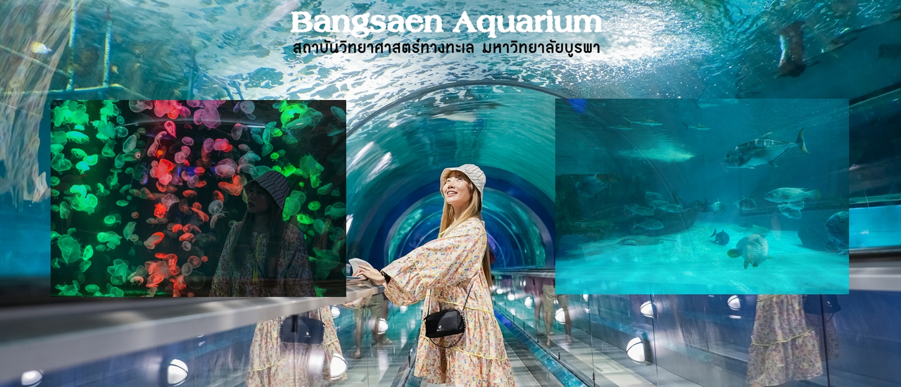 cover ผจญภัยโลกใต้ท้องทะเล Bangsaen Aquarium