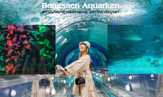 cover ผจญภัยโลกใต้ท้องทะเล Bangsaen Aquarium