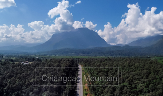 cover เชียงดาว 360