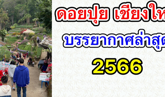 Cover รีวิว ดอยปุย จ.เชียงใหม่ เดินทางไปยังไง บรรยากาศล่าสุด2023 เป็นอย่าง...