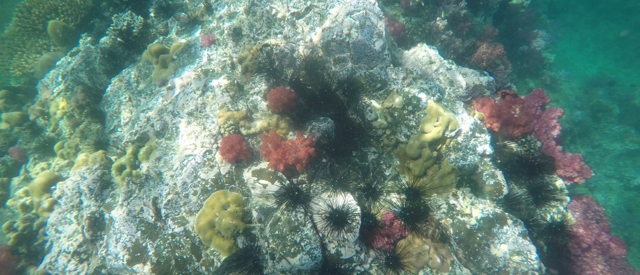 cover ล่องใต้ปลายทางหลีเป๊ะ