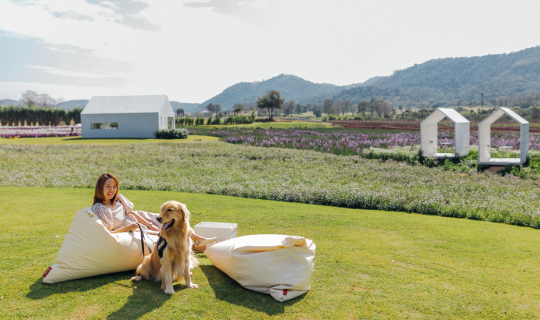 Cover Minimal Cafe Blossom Bloom...