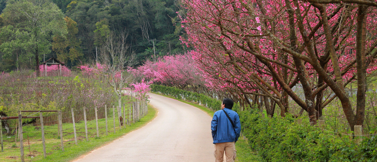 cover อ่างขาง ไม่อ้างว้าง Ep.2