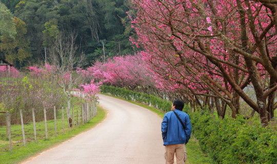 cover อ่างขาง ไม่อ้างว้าง Ep.2