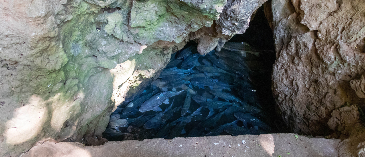 cover อุทยานแห่งชาติถ้ำปลา