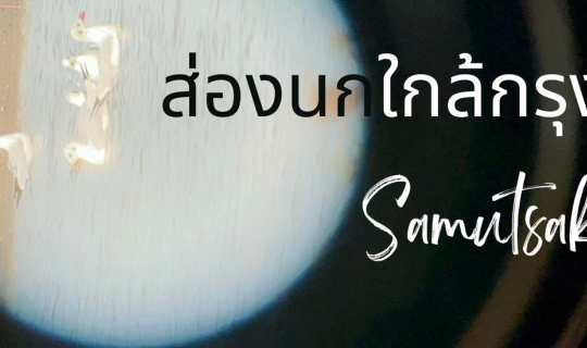 cover ทริปส่องนกใกล้กรุง…สมุทรสาคร