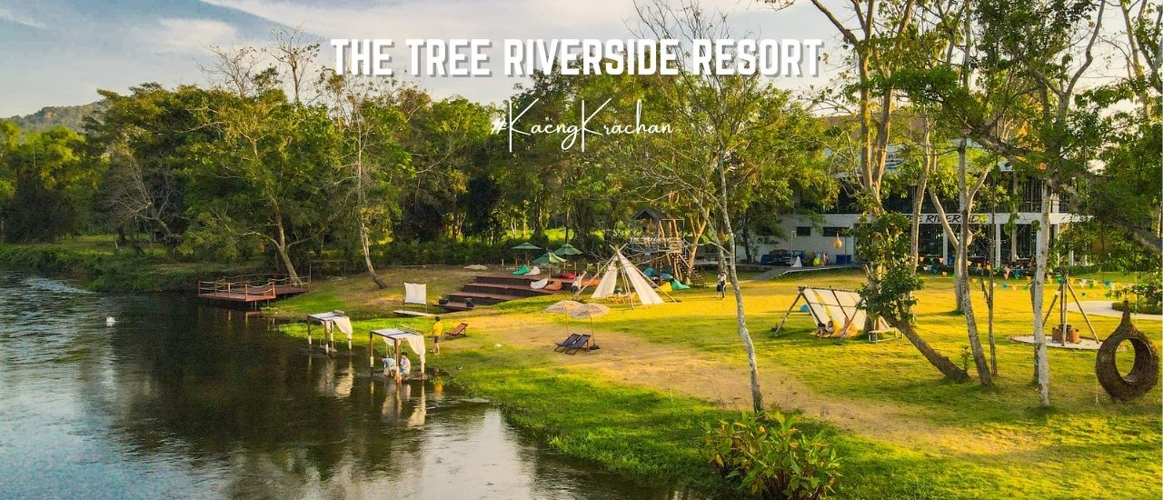 cover รีวิว เดอะทรี ริเวอร์ไซด์ รีสอร์อท แก่งกระจาน (The Tree Riverside Resort - KaengKrachan )ที่พักริมน้ำ แก่งกระจาน เพชรบุรี พักผ่อนใกล้ชิดธรรมชาติท่ามกลางขุนเขาและสายน้ำ