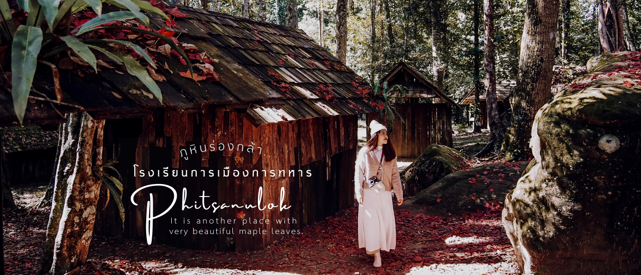 cover ใบเมเปิ้ล อุทยานแห่งชาติภูหินร่องกล้า พิษณุโลก