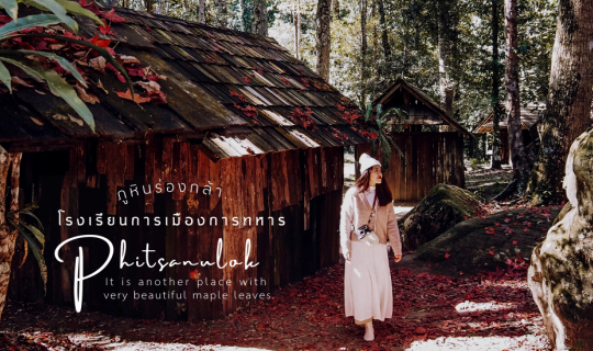 Cover ใบเมเปิ้ล อุทยานแห่งชาติภูหินร่องกล้า พิษณุโลก...