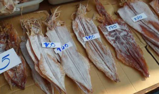 Cover รถไฟรางสู่สายน้ำสามเวลา จังหวัดสมุทรสงคราม...