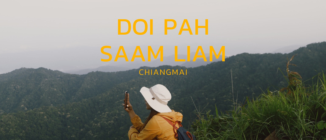 cover ดอยผาสามเหลี่ยม - เชียงใหม่