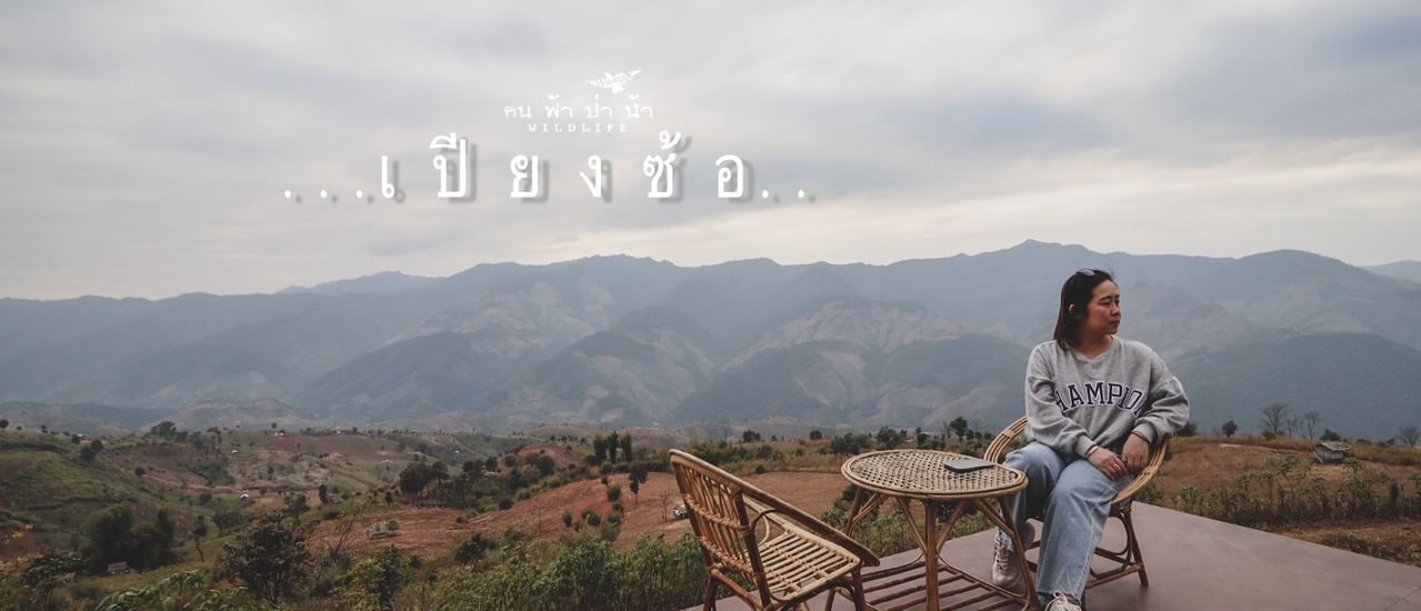 cover เปียงซ้อ ไปอยู่เคียงข้าง...เขา