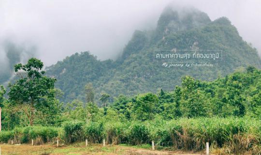 cover 2 วัน 1 คืนอุทยานแห่งชาติทองผาภูมิ เป้ 1 ใบ ปล่อยใจไปหาหมอก