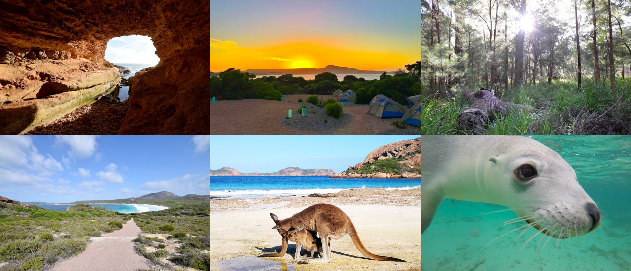 cover 20 Amazing Things You Can See on a Trip Across the Nullarbor @NullarborTravel