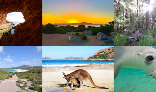 cover 20 Amazing Things You Can See on a Trip Across the Nullarbor @NullarborTravel