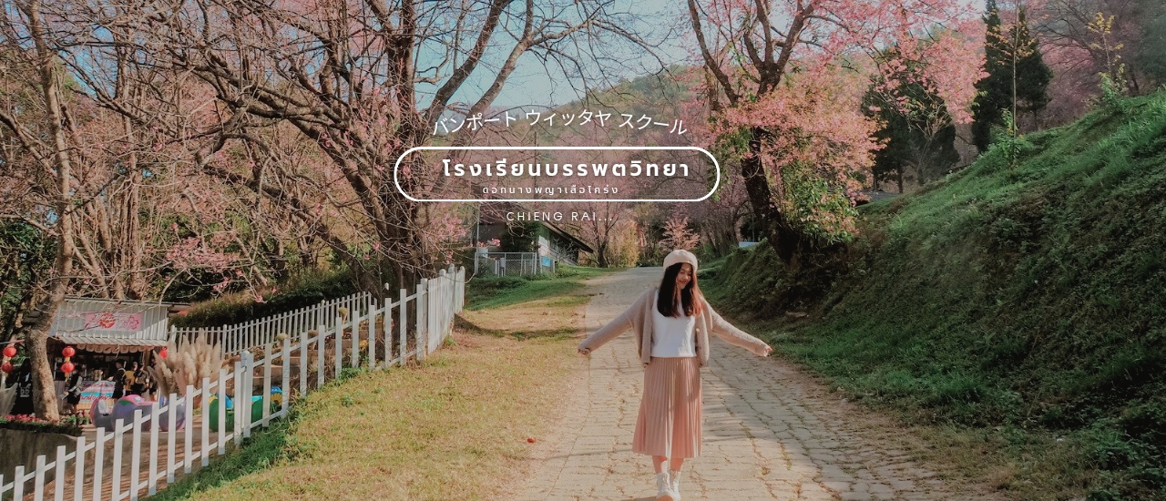 cover ดอกนางพญาเสือโคร่ง โรงเรียนบรรพตวิทยา เชียงราย (ซากุระเมืองไทย)