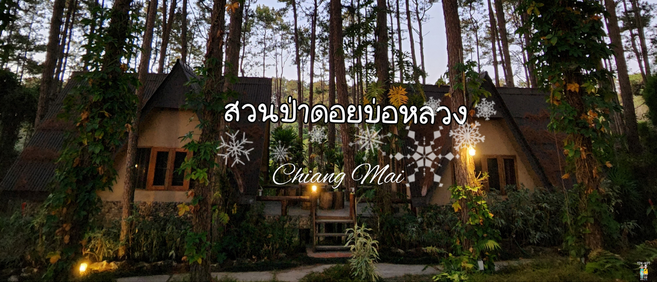 cover ที่พักถ่ายรูปสวย ณ สวนป่าดอยบ่อหลวง เชียงใหม่