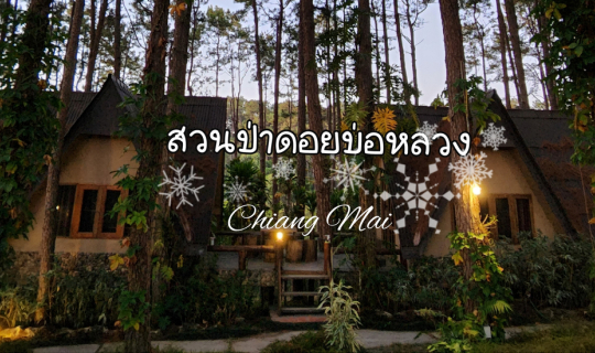 Cover ที่พักถ่ายรูปสวย ณ สวนป่าดอยบ่อหลวง เชียงใหม่...