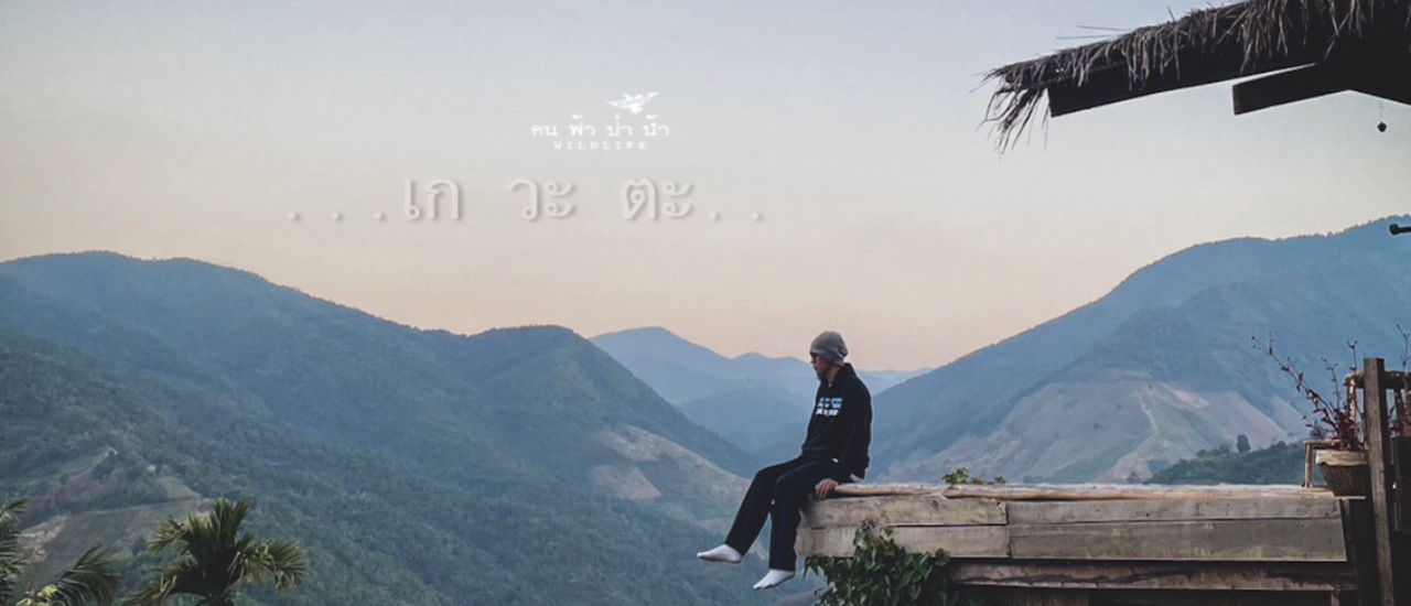 cover เกวะตะ ให้สุขเต็มสิบ