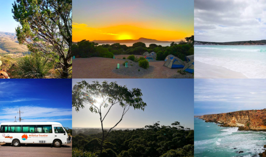 cover Our Nullarbor Roadtrip Itinerary: Best Way to See South and West Australia