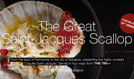 Cover สการ์เล็ตเปิดตัวเมนูสุดพิเศษ "The Great Coquilles Saint-Jacques Scal...