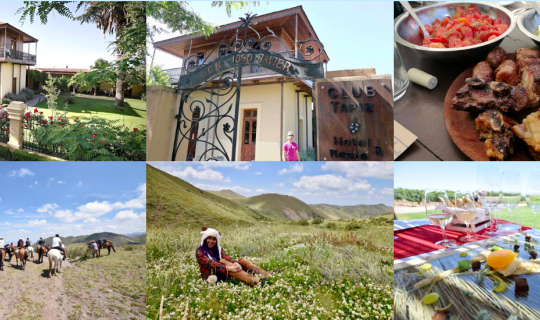 Cover Our Honeymoon Experience in Mendoza, Argentina – Guide for Honeymoon...