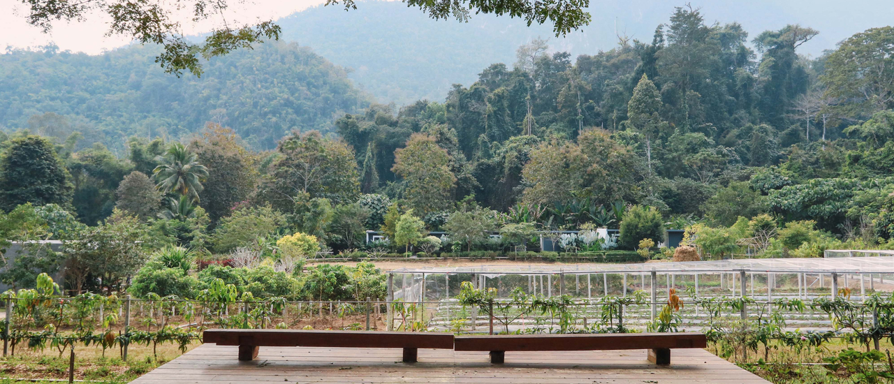 cover "Villa de View" อ.เชียงดาว จ.เชียงใหม่  | Bliss Out There