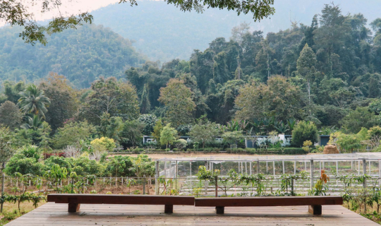 cover "Villa de View" อ.เชียงดาว จ.เชียงใหม่  | Bliss Out There