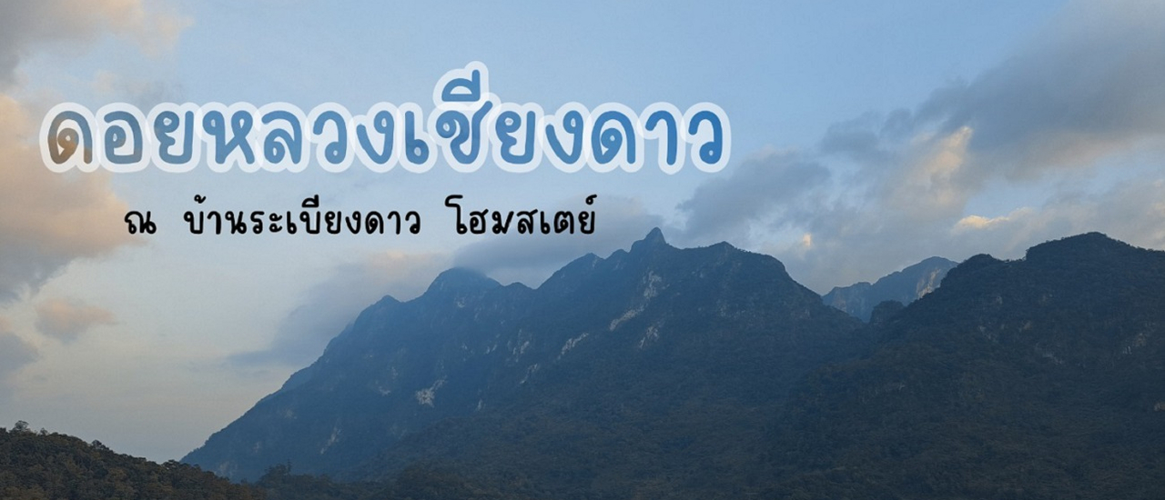 cover จิบชา (ไร่ชาลุงเดช) ดูหมอก (ดอยหลวงเชียงดาว)