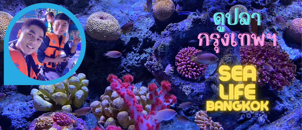 cover ดูปลา พารากอน SEA LIFE Bangkok Ocean World กับ อาจารย์ต้นอมร