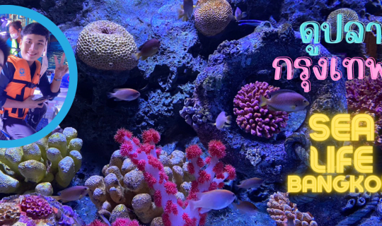 Cover ดูปลา พารากอน SEA LIFE Bangkok Ocean World กับ อาจารย์ต้นอมร...