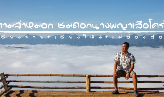 cover ตามล่าหมอก ชมดอกนางพญาเสือโคร่ง @ เชียงราย เชียงใหม่ แม่ฮ่องสอน