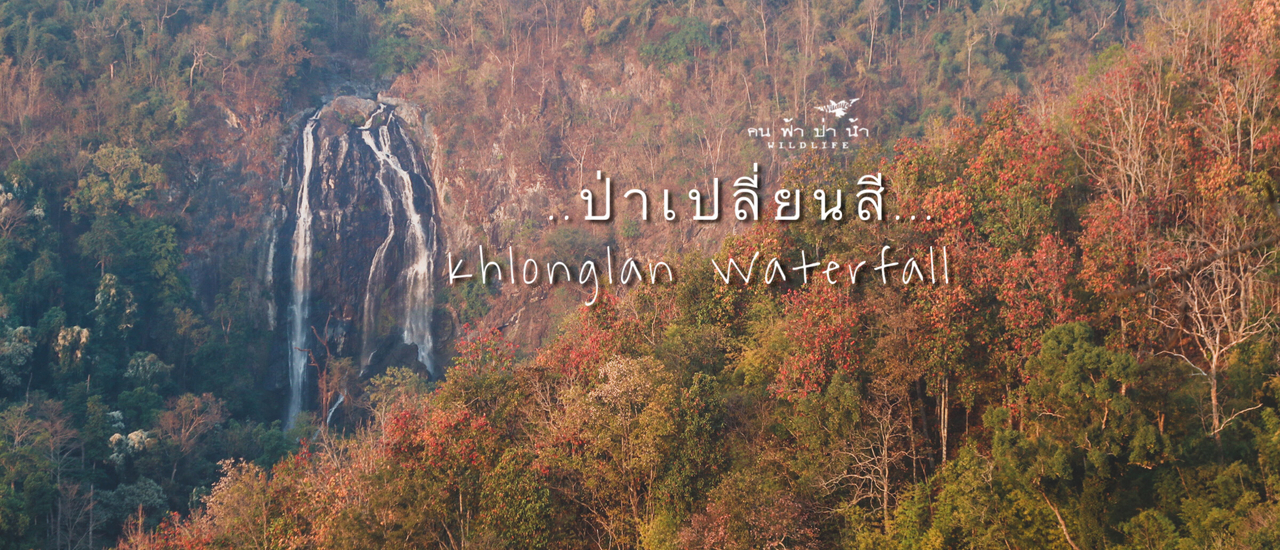 cover ป่าเปลี่ยนสีที่...น้ำตกคลองลาน