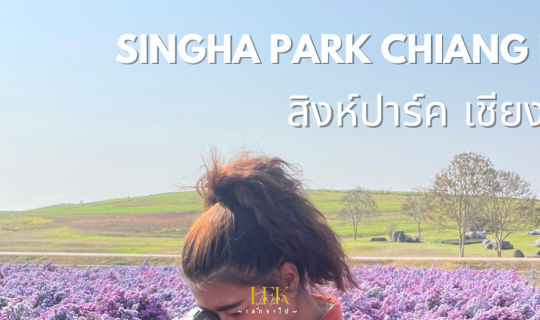 Cover Singha Park Chiang Rai...