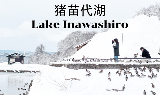 Cover ไปชมเหล่าฝูงหงส์และนกเป็ดน้ำ ท่ามกลางบรรยากาศที่สวยดั่งภาพวาดที่ “ทะ...