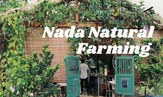 Cover พาไปรู้จักฟาร์มคาเฟ่ปีนังสุดอินดี้ "Nada Natural Farming"...