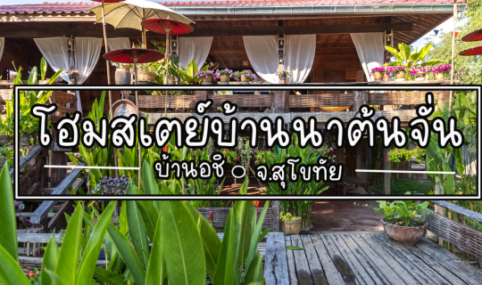 cover บ้านนาต้นจั่น จ.สุโขทัย