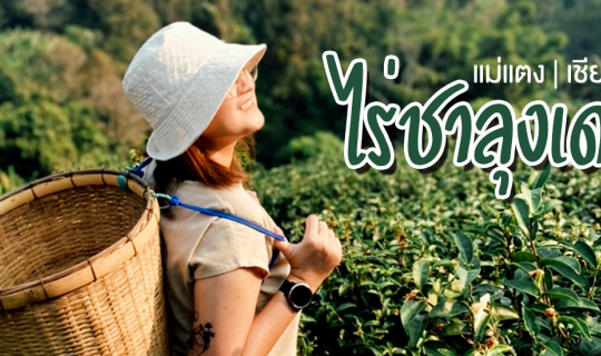 Cover หนีร้อนไปนอนไร่ชาลุงเดช 🌿☀️✨🍃...