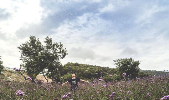 Cover เชียงใหม่ (หน้าฝน) จ ะ ไ ป ต้ อ ง ไ ด้ ไ ป...