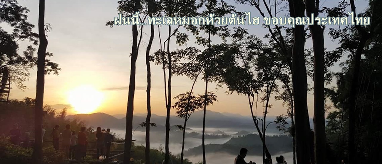 cover ฝนนี้... ทะเลหมอกห้วยต้นไฮ บ้านนาต้นจั่น @ประเทศไทย