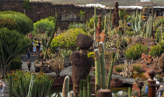 Cover กระบองเพชรกว่า 4,500 ต้นจาก 500 สายพันธุ์ ที่ Cactus Garden เกาะ Lan...