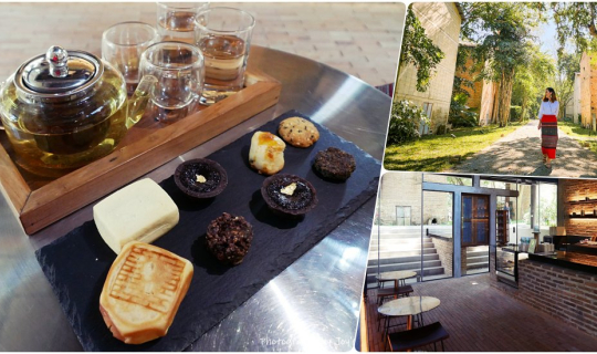 cover จิบน้ำชา เก๊าไม้ล้านนา - ทริปเชียงใหม่ก่อนผ่าตัดหัวใจ  ตอน 2