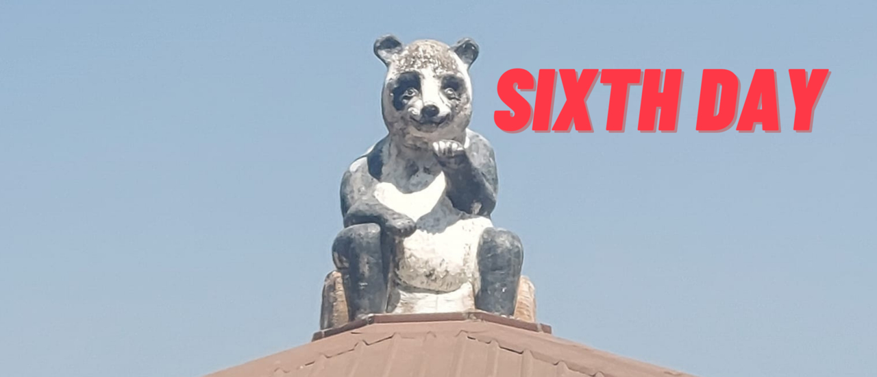 cover Backpack 30 วันกับแบงค์พัน 20 ใบ "เชียงใหม่-เชียงใหม่ Zoo-วัดอุโมงค์-บ้านข้างวัด-ตลาดคนเดินวัวลาย" Sixth Day