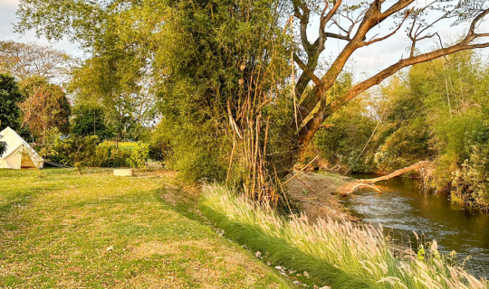 Cover ลานกางเต้นท์ soul pakchong ลานกางเต้นท์ปากช่อง...