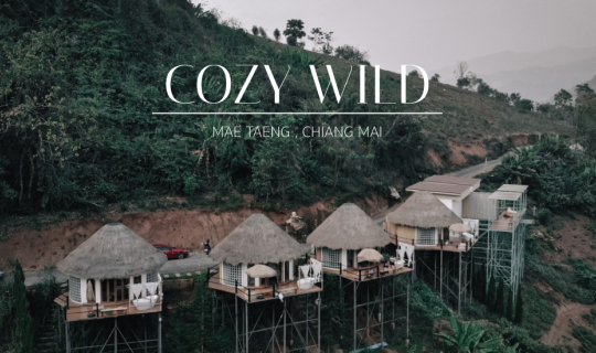 Cover COZY WILD แม่แตง เชียงใหม่...