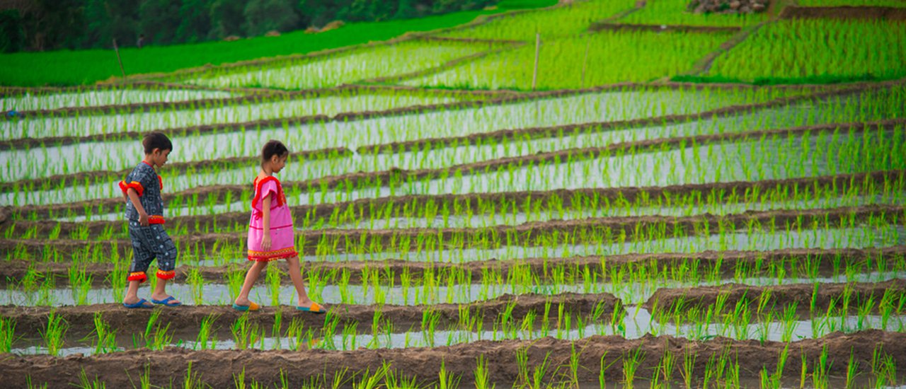 cover อัพเดทล่าสุด..."นาสวรรค์...ป่าบงเปียง"..(วิธีเดินทางและเบอร์ติดต่อที่พัก)