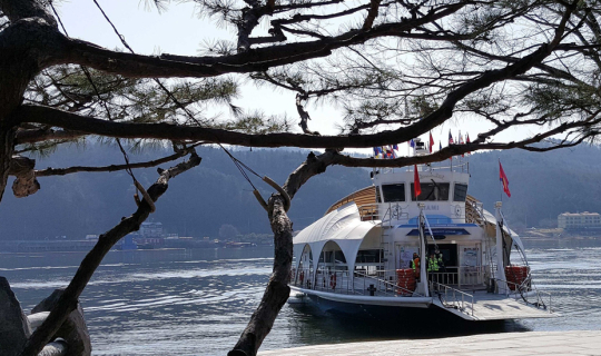 cover Travel Guide to Nami Island, South Korea – How to Go & What to Do