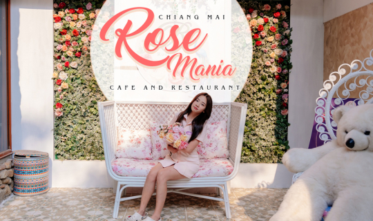 cover Rose Mania คาเฟ่เชียงใหม่ใกล้แม่กำปอง