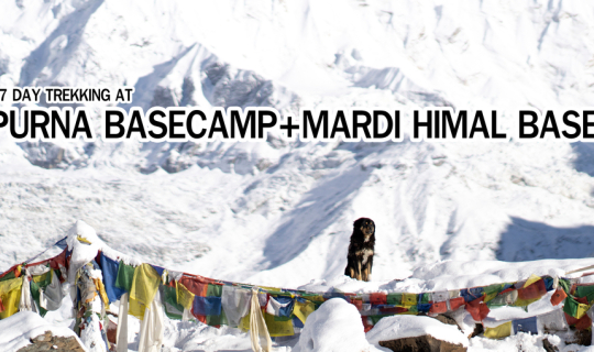 Cover 17 วัน กำเงิน 15,000 แบ๊กแพ๊คไปพิชิต2เขา Annapurna Basecamp+Mardi hi...